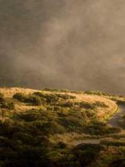 A Heavenly Gift: The