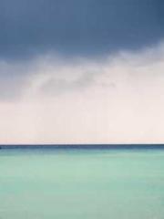 One Night Marriage P