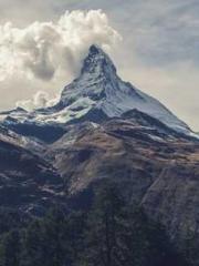 Bodhisattva of Compa