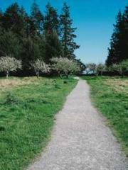 My stunning aunt lt; My stunning aunt lt;