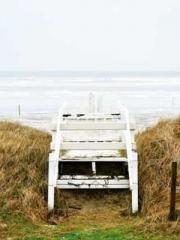 Wine, sex, money and