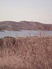 Spring fills Beijing