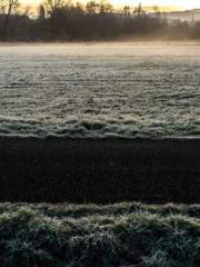 lt;lt;Know Green, Do