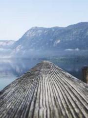 Lin Feng Lin Yun Yao Lin Feng Lin Yun Yao