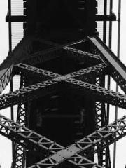 The Rough Man Hunter