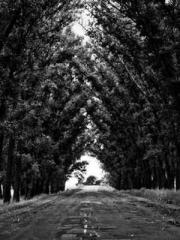 lt;Nineth Uncle, you