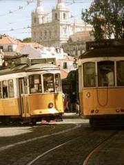 My Amazing Female Te