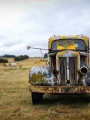 The Ugly Womanapos;s The Ugly Womanapos;s