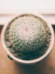 Fast Travel: The Big Fast Travel: The Big