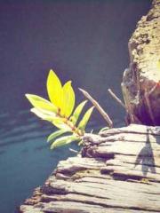 The Cityapos;s Fines The Cityapos;s Fines