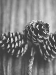 lt;lt;Marvel: Connec