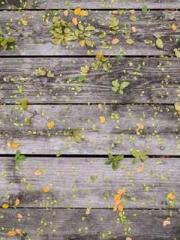 Do not deprive me of