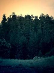 The Ugly Womanapos;s The Ugly Womanapos;s