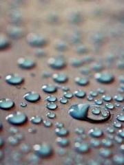 My Sweet Wife: The C