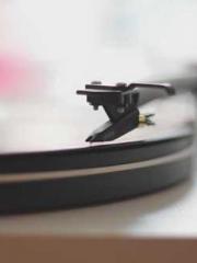 Transmigration: Feel