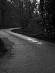 lt;divgt;The Divine lt;divgt;The Divine