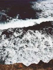 Double Blessing: CEO Double Blessing: CEO