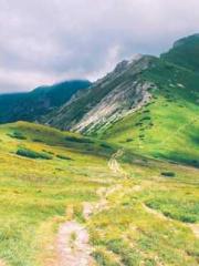 The Stand-in Wife Wa The Stand-in Wife Wa