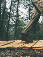 lt;Mr. Bao, Mrs. Bao