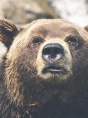 Bones-Eating Marriag