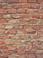 Bodhisattva of Compa Bodhisattva of Compa