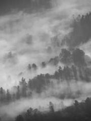 Qi Revival: I woke u Qi Revival: I woke u