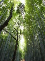 Human Race Garrison Human Race Garrison