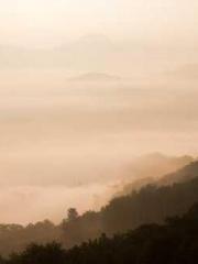 The War of National The War of National