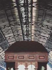 Transmigrated to the