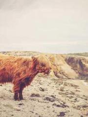 Reborn in 1989: Crea