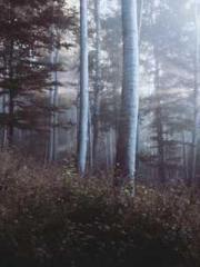 The Undefeated Son-i