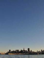 I am cultivating imm I am cultivating imm