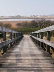 The wife wishes to b