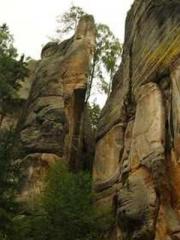 lt;Liang Yimo Cold N