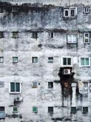 Cultivation God Domi Cultivation God Domi