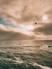 RONG Zhaonan NING Yu