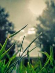 The Realm of the Dao