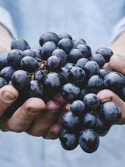 I Picked Up a Cultiv