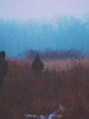 Morning sickness aft