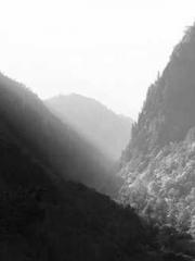 Retired War God Yang