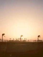 lt;lt;Waste Material