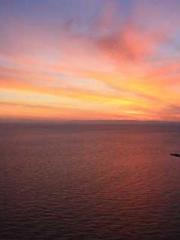 A Wifeapos;s Plea fo