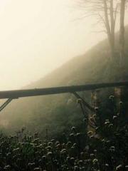 Becoming a Farm Girl