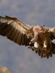 Super Dimensional Me