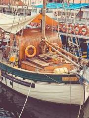 The young masterapos