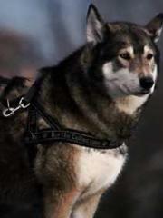 lt;lt;All in, my dec lt;lt;All in, my dec