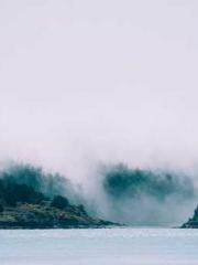 The Imperial Concubi