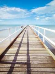 The Realm of the Dao The Realm of the Dao