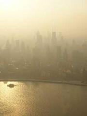 lt;Liang Yimo Cold N lt;Liang Yimo Cold N