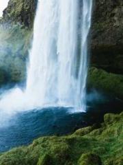 My stunning aunt lt;